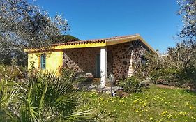 Casa Mesagustu